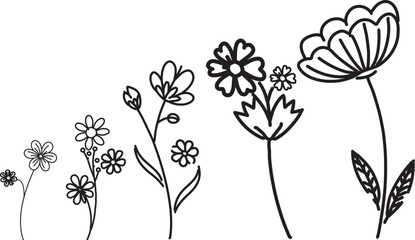 Obraz premium Minimal black outline wildflower vector illustration with delicate stems and simple blooms on white background. Perfect for botanical decor, wall art, and elegant nature design projects.