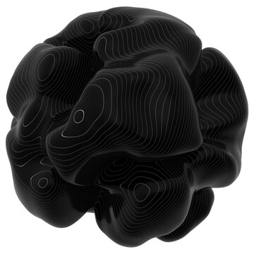 Monochrome 3D Organic Shapes &ndash; Black and White Abstract Forms with Striped Topographic Lines and Smooth Fluid Surfaces in Artistic Minimalist Sculptures