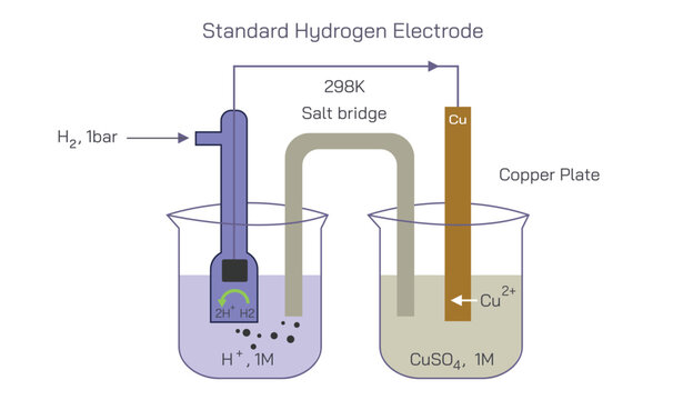 Assigned a standard electrode potential. The standard Hydrogen Electrode reference consisting of a platinum electrode in contact with 1MH plus ions and hydrogen Vector illustration.Pressure electrodes
