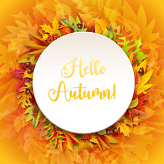 Elegant round autumn template with space for text. Ideal for any brochures, covers and presentations.