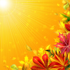 A juicy autumn composition illuminated by the sun. Ideal for any brochures, covers and presentations.