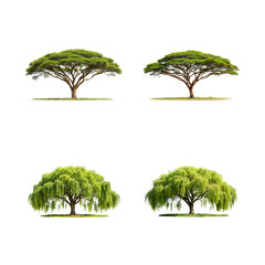 Four different trees are isolated on transparent background, showcasing the beauty and diversity of natures botanical wonders