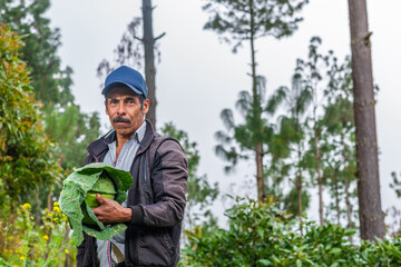 Portrait of an adult farmer in a cabbage field in Latin America.