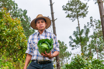 Portrait of a young Latino farmer in a vegetable field. He shows a cabbage he has harvested.