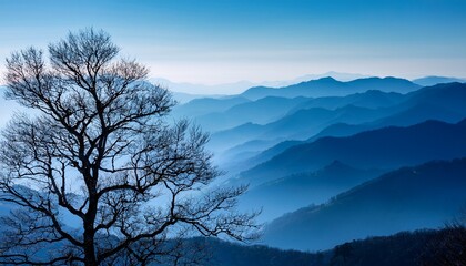 a prominent bare winter tree is silhouetted against a serene misty layered blue mountain landscape