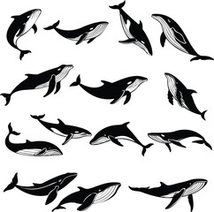 Peaceful Ocean Scene with Whale Silhouette