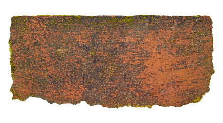 Old Red Clay Brick with Mossy Grunge Texture - High-Detail Natural Surface for Design Overlay or...