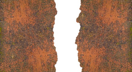 Realistic Moss Growing on Brick Wall Texture Frames. Perfect for Architectural Backgrounds, PBR Materials, or Heritage Design Visuals.