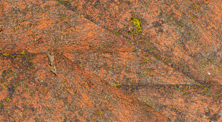 Realistic Moss Growing on Brick Wall Pattern Texture Background. Perfect for Architectural Backgrounds or Heritage Design Visuals.