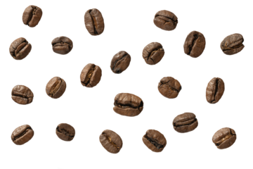 Grains de café bruns espacés sur fond transparent, vus de dessus, format PNG