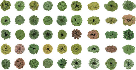 tree top watercolor hand drawn view isolated on white background for landscape plan and architecture layout drawing, elements for environment and garden