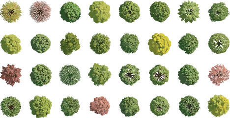 tree top watercolor hand drawn view isolated on white background for landscape plan and architecture layout drawing, elements for environment and garden