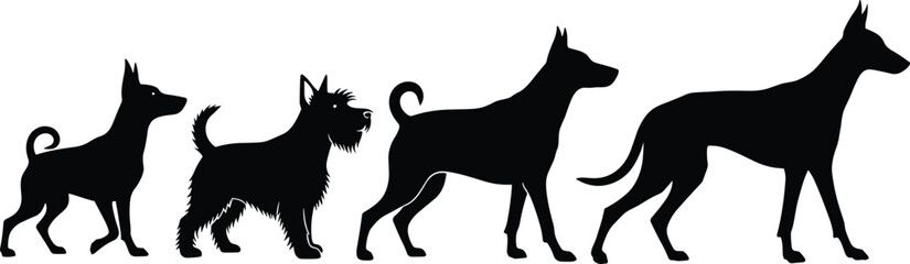 Silhouettes of four dog breeds in different sizes, black vector illustration, pet lovers design, animal graphic, canine identification chart