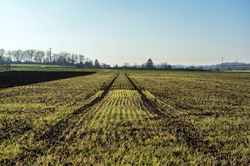 Landschaft Bietigheim-Bissingen