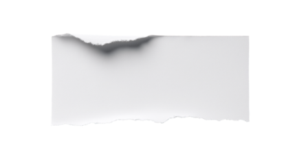 Torn blank paper sheet with a rolled edge, isolated on a transparent background in PNG format.