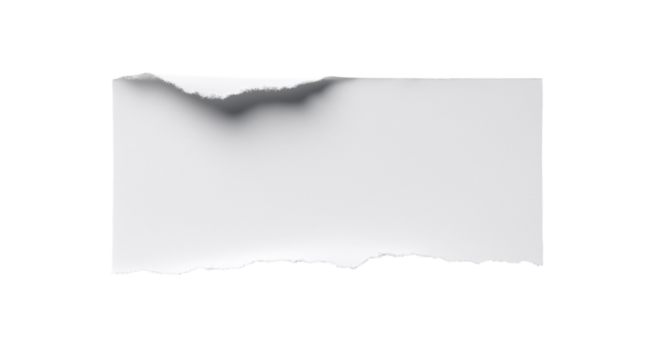 Torn blank paper sheet with a rolled edge, isolated on a transparent background in PNG format.
