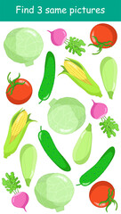 Find three identical pictures of cabbage, radish, corn, cucumber, tomatoes, zucchini. Educational game. Colored vegetables. Vector illustration for children's activity book, worksheet, print.