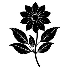 Create a soothing and aromatic botanical flower blend using natural dried flowers. Focus on color harmony, fragrance layering, and potential wellness benefits