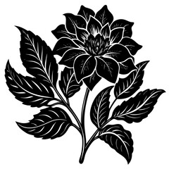 Create a soothing and aromatic botanical flower blend using natural dried flowers. Focus on color harmony, fragrance layering, and potential wellness benefits