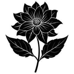 Create a soothing and aromatic botanical flower blend using natural dried flowers. Focus on color harmony, fragrance layering, and potential wellness benefits