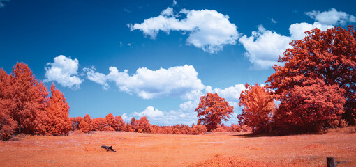 infrared  landscape with trees