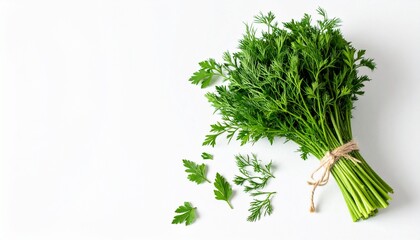 Fresh green parsley bunch tied with twine against a clean white background with scattered leaves