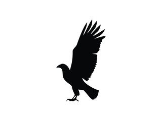 Black silhouette of a bird of prey with wings spread