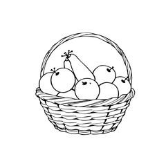 Fototapeta premium Simple line sketch of a basket filled with fruits 