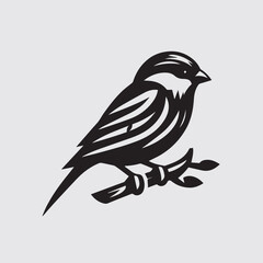 Fototapeta premium vector illustration of a Sparrow bird