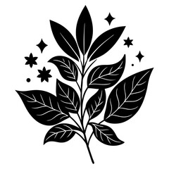 Design a natural botanical blend using herbs, flowers, and plant elements for a specific purpose such as wellness, aroma, or skincare. Focus on harmony, scent, and benefits