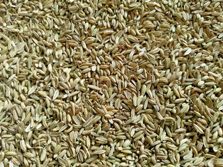 fennel seeds top view background