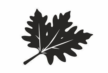 Black silhouette of a maple leaf on white background  