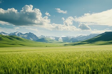 Lush green wheat field under a vast sky with clouds and distant mountains, green wheat field against beautiful sky