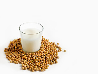 A clear glass filled with soybeans milk stands on a surface scattered with raw soybeans