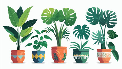 Obraz premium Collection of beautiful plants in ceramic pots isolated on transparent background.