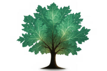 Green fractal tree with glowing leaves isolated on transparent background, perfect for fantasy or nature-related projects