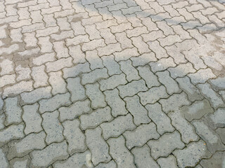 interlocking Concrete Pavers with Subtle Wet Texture in Outdoor Setting