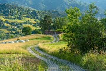 Fototapety na wymiar - Fototapeta24.pl