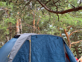 Camping tent under pine trees in summer forest