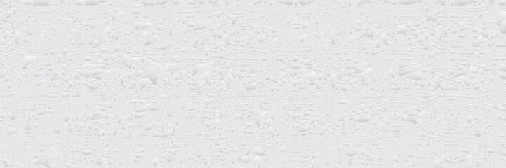 Fototapeta premium Old white concrete wall grunge texture - wide banner format background with copy space for text. Gray grunge texture with chips, cracks, scratches, soft white grunge. vector