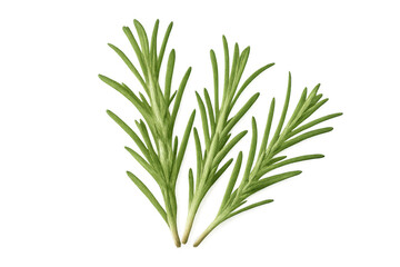 Fototapeta premium Sprigs of rosemary isolated against a transparent background, perfect for enhancing food and cooking projects with aromatic flavor