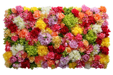 High-quality image of a vibrant floral display in bright colors. Isolated on transparent background, png.