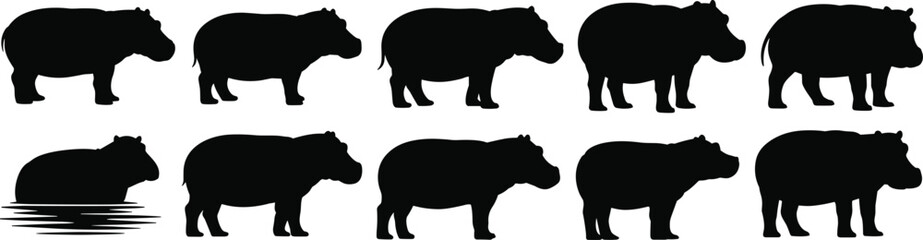 Hippo silhouette vector collection, wild animal pose icon set, black nature illustration pack, grazing walking standing design, aquatic graphic artwork