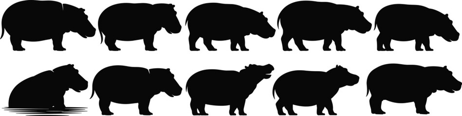 Hippo silhouette vector collection, black wildlife icon pack, grazing animal graphic set, nature pose illustration bundle, river creature artwork design
