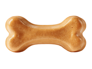Dog chew toy pet store product image indoor close-up fun. Isolated on transparent background, png.