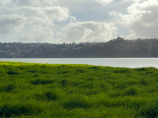 Aerial shot of green grass field in New Zealand nearby blue ocean and under sunny sky.