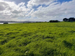 Aerial shot of green grass field in New Zealand nearby blue ocean and under sunny sky.