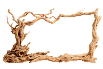 Artistic driftwood frame display natural environment creative view. Isolated on transparent background, png.