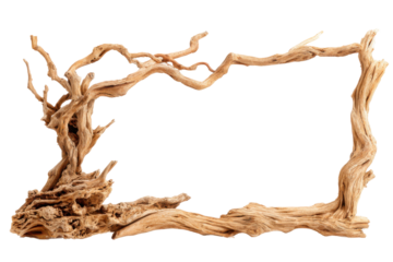 Artistic driftwood frame display natural environment creative view. Isolated on transparent background, png.