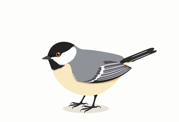 Obraz premium Bird illustration of a gray and white chickadee on white background 